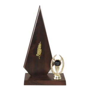 Wooden Arrow Award