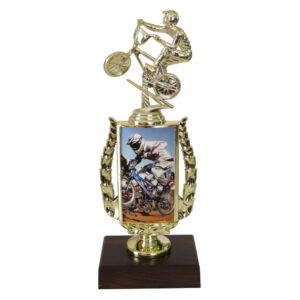 BMX Sports Insert Trophy-BMX