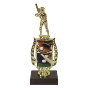 Baseball Sports Insert Trophy-Baseball Female