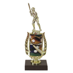 Baseball Sports Insert Trophy-Baseball Male