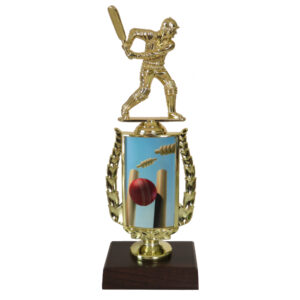 Cricket Sports Insert Trophy-Cricket Batsman
