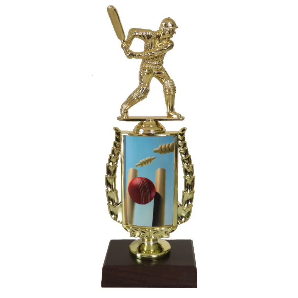 Cricket Sports Insert Trophy Cricket Sports Insert Trophy-Cricket Batsman