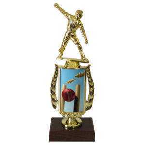 Cricket Sports Insert Trophy-Cricket Bowler