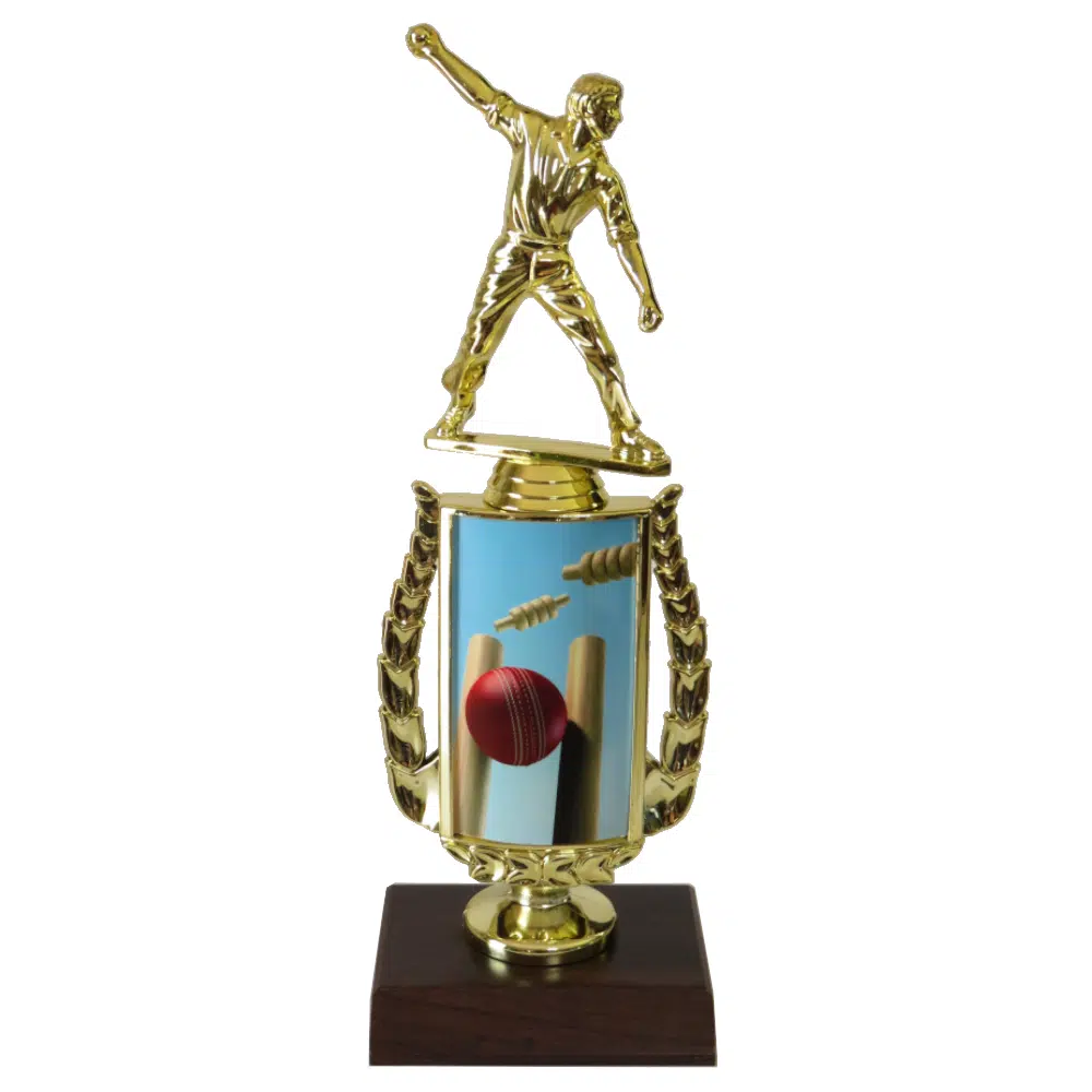 Cricket Sports Insert Trophy Cricket Sports Insert Trophy-Cricket Bowler
