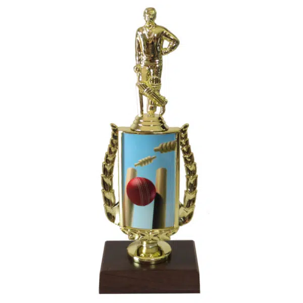 Buy Cricket Sports Insert Trophy 39.95 Award Engravers