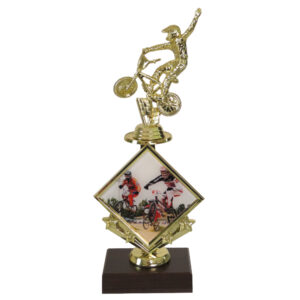 BMX Star Insert Trophy-BMX Xtreme, BMX Trophies