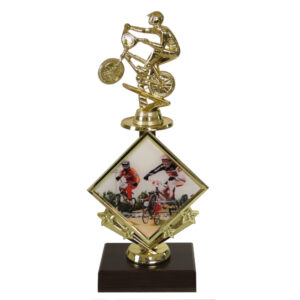 BMX Star Insert Trophy-BMX
