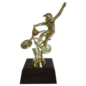 BMX Xtreme Figurine