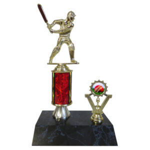 Cricket Batsman Trophy