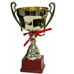 Metal Trophy Cups