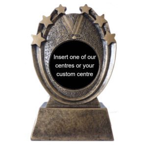 Resin Insert Medallion Award