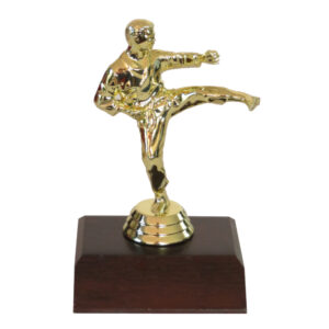 Karate Male Figurine