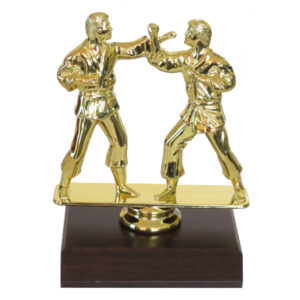 Karate Double Male Figurine