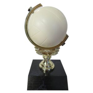 Netball Spinner Trophy