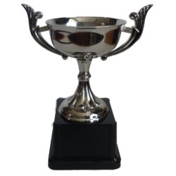 Phoenix Trophy Cup