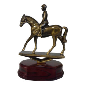 Horse and Rider Trophy