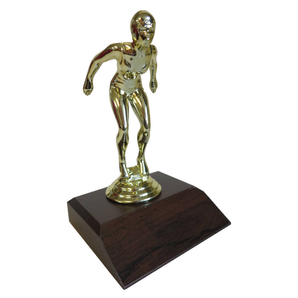 Buy Swimming Girl Figurine 17.95 Award Engravers