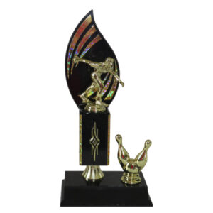 Ten Pin Bowling Award-Male