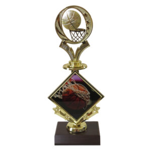 Basketball Star Insert Trophy-Basketball Relief