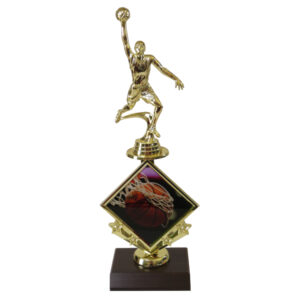 Basketball Star Insert Trophy-Basketball Shooter