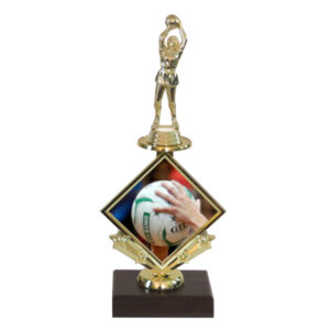 Netball Star Insert Trophy-netball female