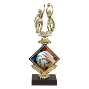 Netball Star Insert Trophy-netball double