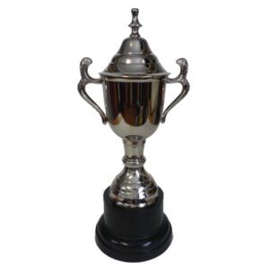 Cardiff Trophy Cup