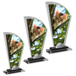 Crystal Fan Photo Display