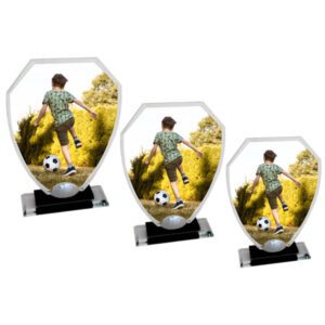 Crystal Shield Photo Display