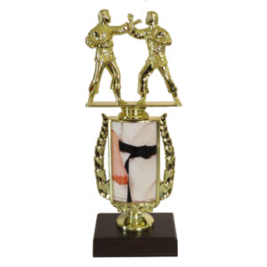Karate Insert Trophy-Male Pair
