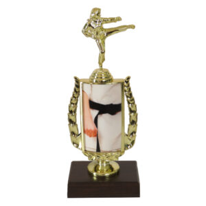 Karate Insert Trophy-Female