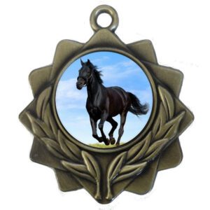 25mm Insert Equestrian Medal
