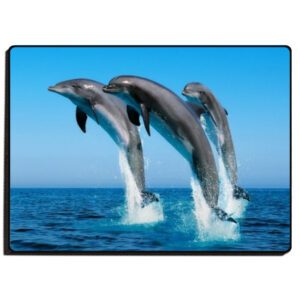 Personalised Magnets