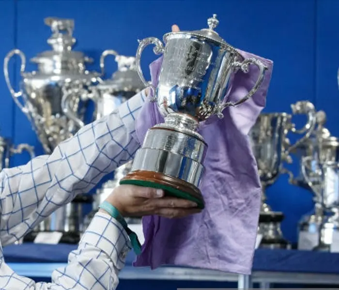 How To Clean Trophy Cups, Trophy Cup Cleaning