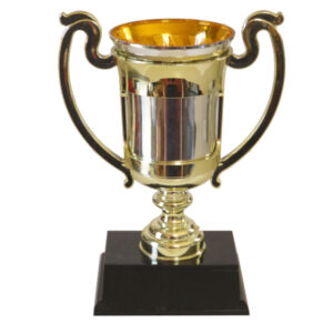 Champions Trophy Cup-Large