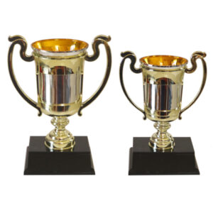 Champions Trophy Cups