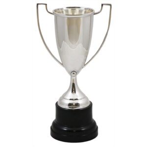 Devon Silver Trophy Cup