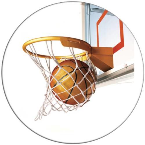 Basketball hoop2