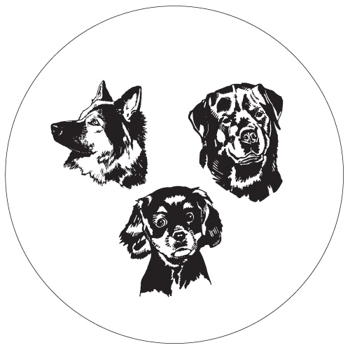 Dogs