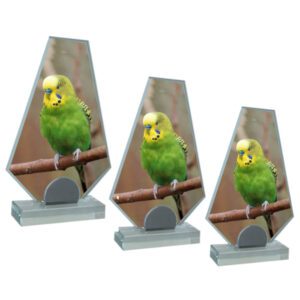 Loreno Glass Photo Display