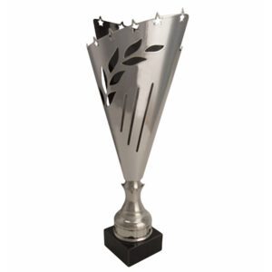 Montrose Silver Cup Award