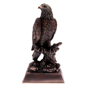 Bronze Eagle Award