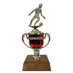 Soccer Mini Trophy Cup