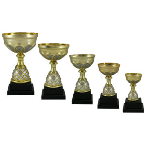 Venice Euro Cups