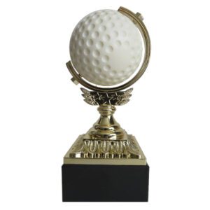 Hockey Spinner Trophy