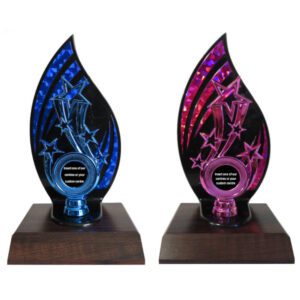 Flame-back Insert Holder Trophy