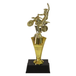 Dirt Bike Star Award