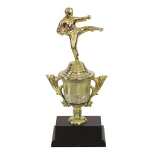 Fancy Miniature Karate Cup-Male