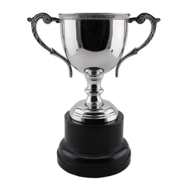 Hana Trophy Cup