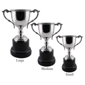 Hana Trophy Cup